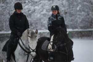 Постой лошадей