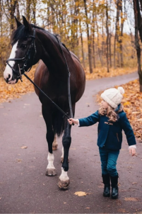 Индивидуальные занятия по конкуру