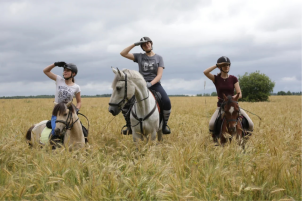 Экскурсия без катания на лошади