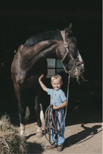 Подарочный сертификат