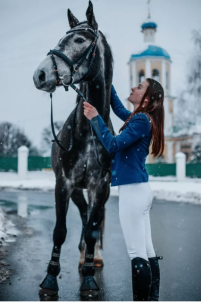 Аренда лошадей