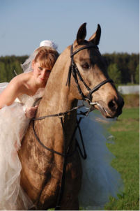 Экскурсия с катанием на лошади