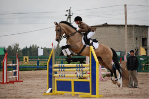 Экскурсия с катанием на лошади