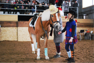 Постой лошадей