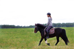 Индивидуальные занятия для взрослых