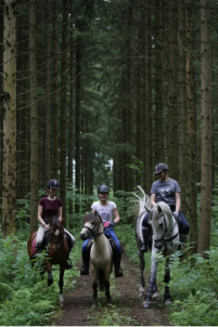 Подарочный сертификат