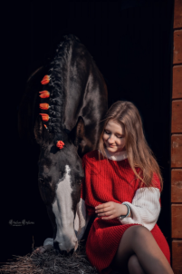 Индивидуальные занятия по конкуру