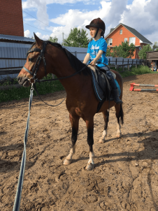 Конные прогулки с обучающей программой
