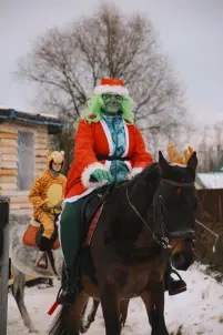 Индивидуальные занятия по конкуру