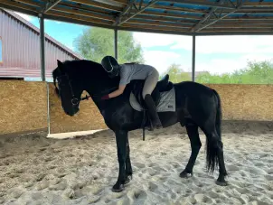 Детские праздники