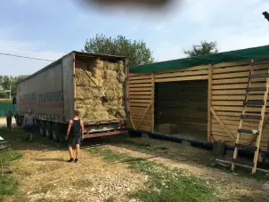 Аренда лошадей