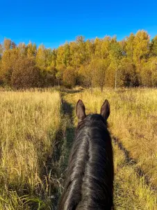 Групповые занятия для детей от 7 до 12 лет