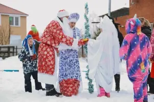 Конные прогулки в поле