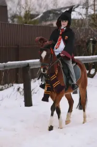 Групповые занятия для взрослых