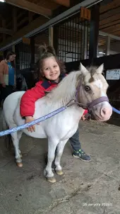 Конеперевозки