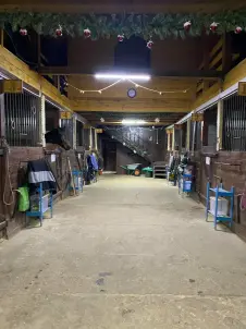 Конные прогулки с обучающей программой