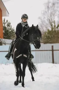 СЕГОДИНА ЕВГЕНИЯ