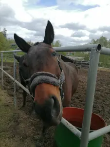 Абонемент на 4 занятия