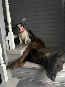 Групповые занятия для взрослых