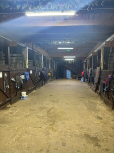 Фотосессия с лошадьми