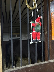 Индивидуальное занятие для детей от 7 до 12 лет