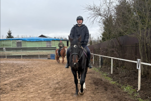 Конные прогулки в поле