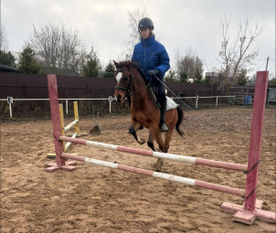 Конные прогулки в поле