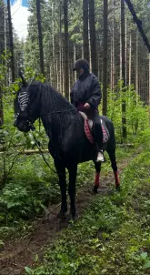 ОМЕЛЮСИК АЛЕКСАНДРА