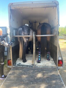 Конеперевозки