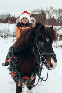 Фотосессия с лошадьми